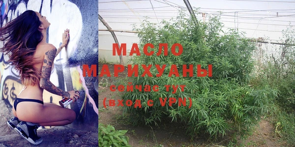 индика Лабытнанги