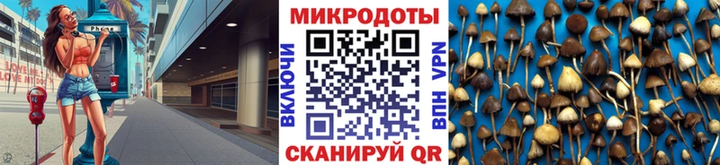 ссылка на мегу вход  Куровское  Псилоцибиновые грибы Cubensis 