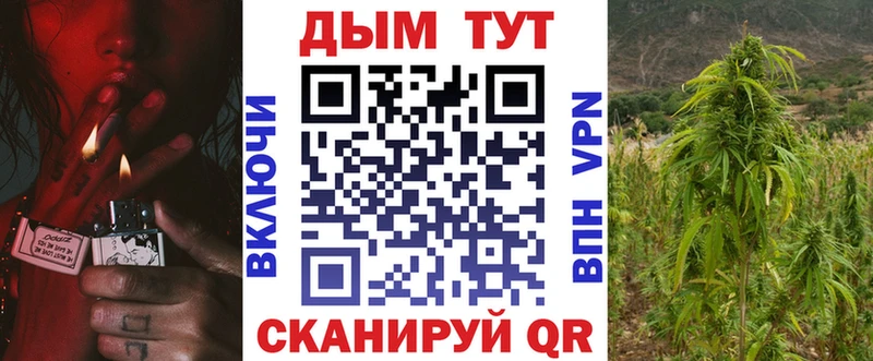 купить наркотики сайты  Куровское  гидра вход  Канабис гибрид 